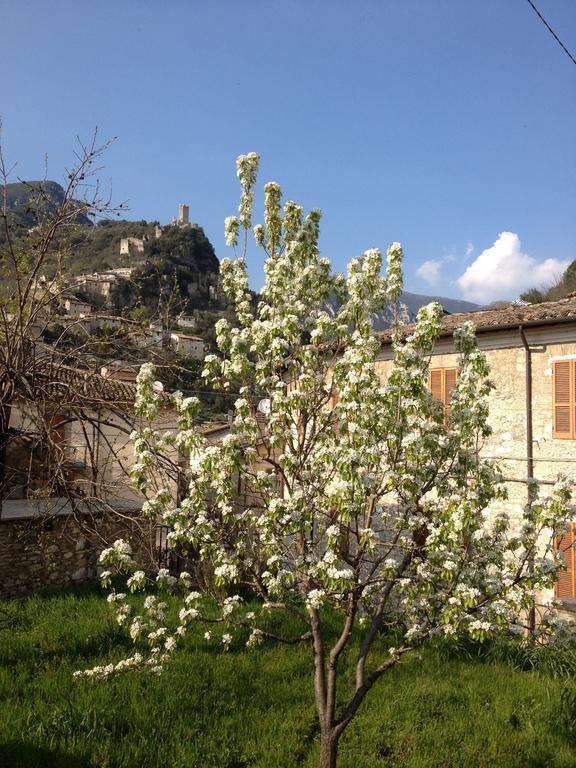 Il Borgo Agriturismo Ferentillo Eksteriør billede